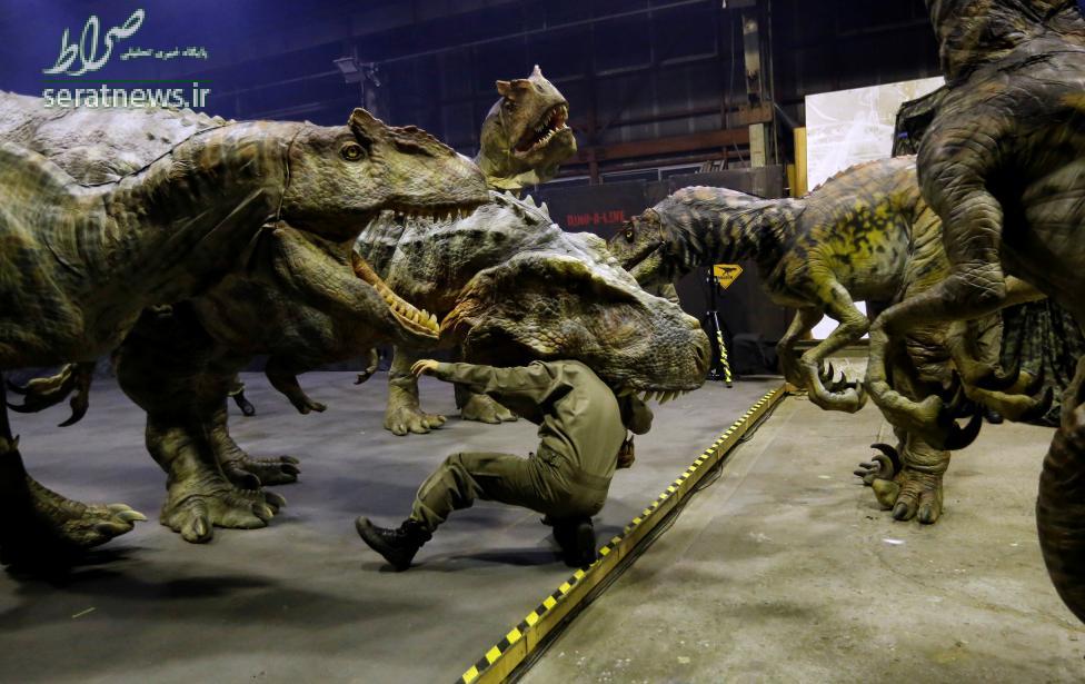 عکس/جنگ دایناسورها در ژاپن