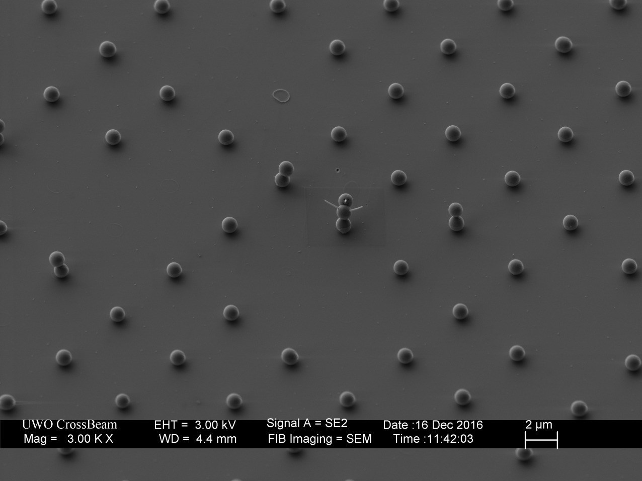 کوچکترین آدم‌برفی جهان+عکس