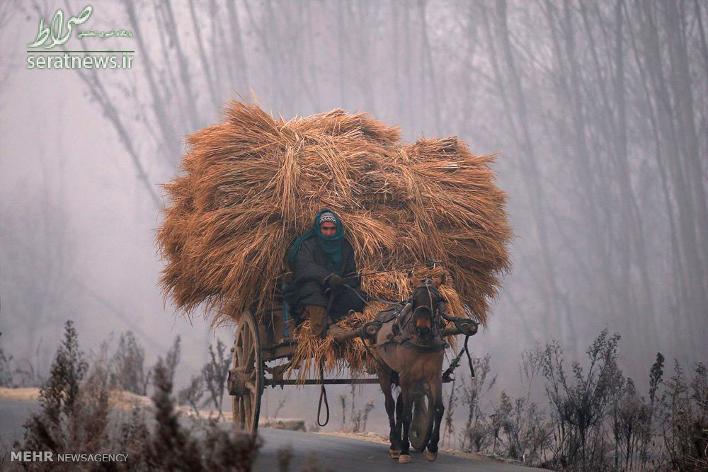 عکس/صبح سرد و زمستانی در هند