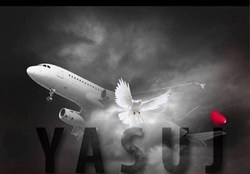 علت سقوط هواپیمای تهران-یاسوج مشخص شد
