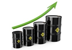 قیمت نفت از ۶۶ دلار گذشت