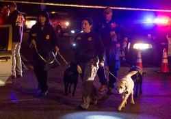 انفجار تگزاس موجب زخمی شدن ۲ نفر شد