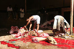 مغولستان برای صادرات گوشت به ایران مرکز ذبح اسلامی راه انداخت
