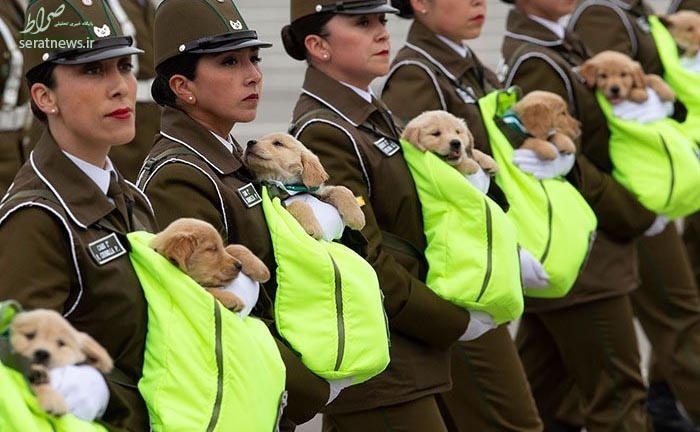 عکسی جالب از مامورین پلیس زن در شیلی