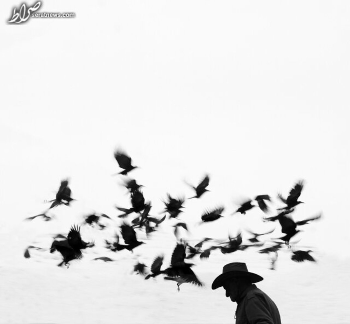 عکاس ایرانی برگزیده جایزه بین‌المللی عکاسی شد