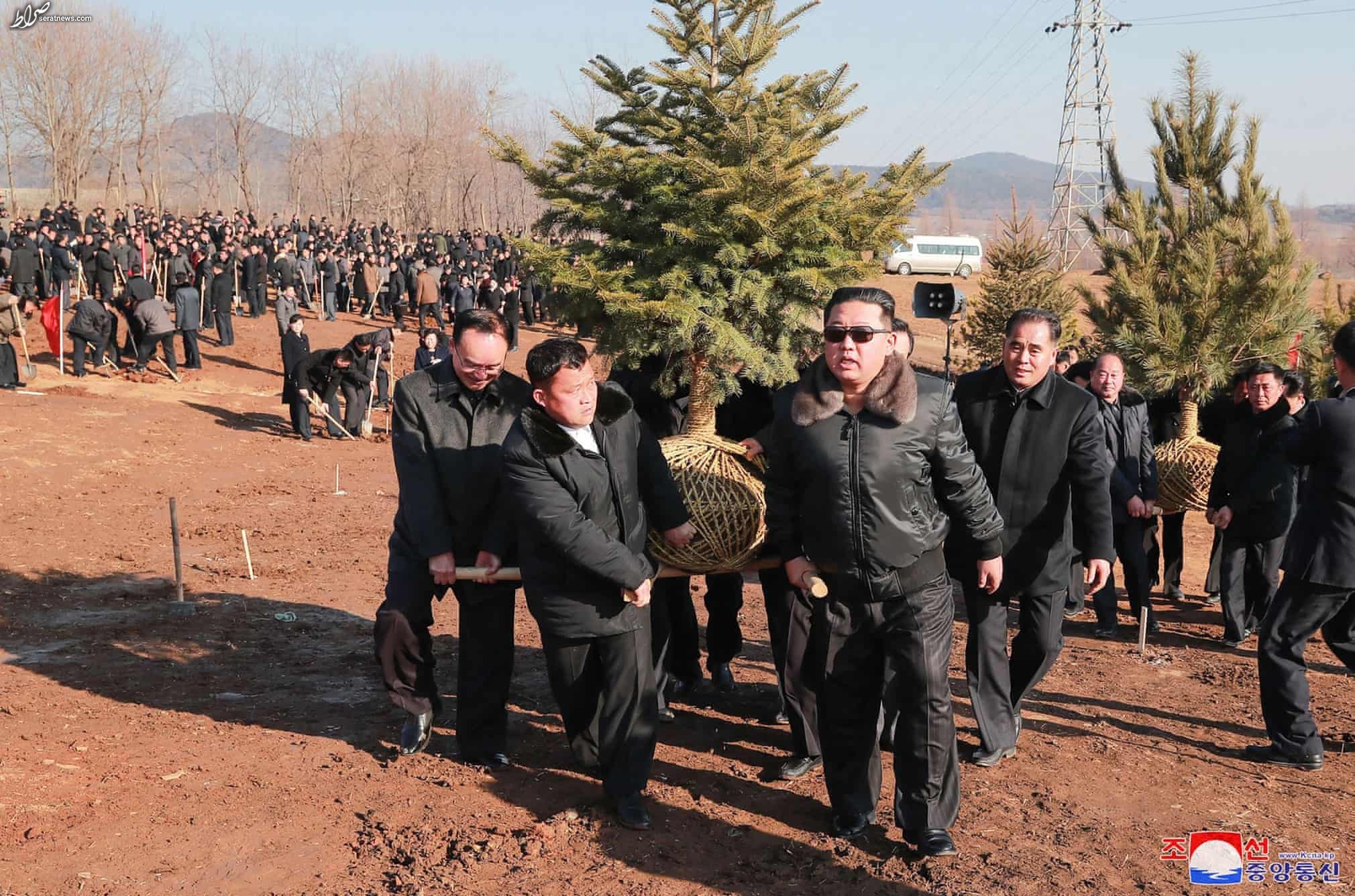 عکس / شرکت کردن کیم جونگ اون در مراسم درختکاری کره شمالی
