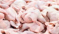 متخصصان تغذیه: مرغ‌ درشت نخورید