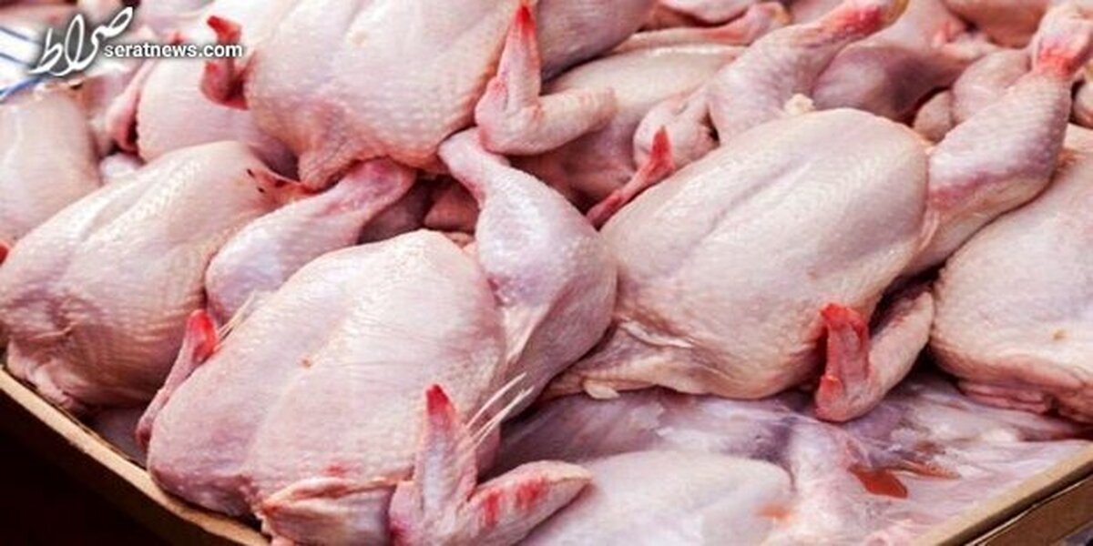 افزایش ۲۰ درصدی تقاضای مرغ گرم