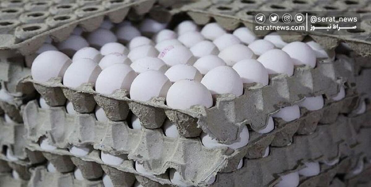 عرضه تخم مرغ در میادین تره بار کمتر از نرخ مصوب