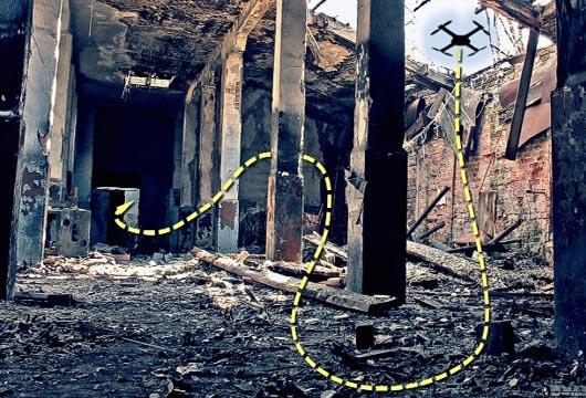 حشرات جاسوس! +عکس حشرات جاسوس! +عکس