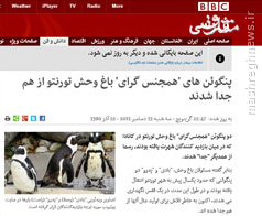 آبوتابی که BBC به همجنسبازی میدهد +تصاویر آبوتابی که BBC به همجنسبازی میدهد +تصاویر