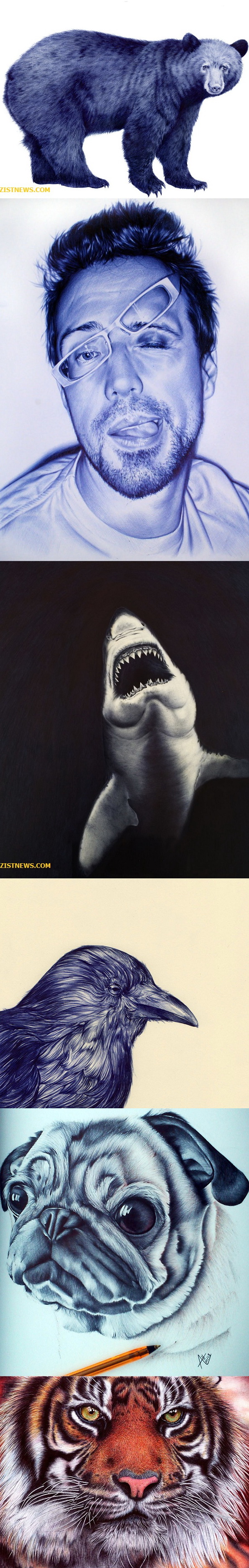 تصاویر/ جادوی خودکار!