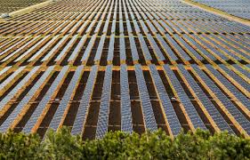 apple بزرگترین مزرعه خورشیدی را می‌سازد +تصاویر