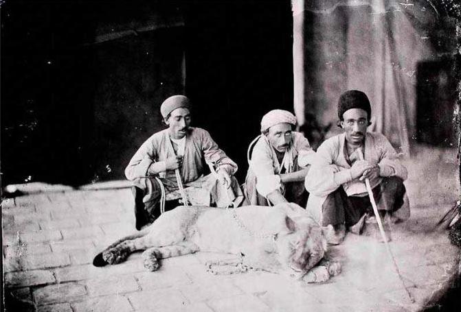 عکس/ رام کردن شیر به سبک قاجار