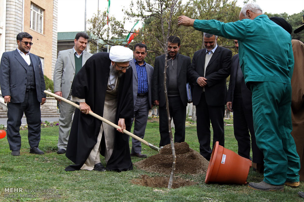 عکس/ کاشت نهال توسط آملی‌لاریجانی