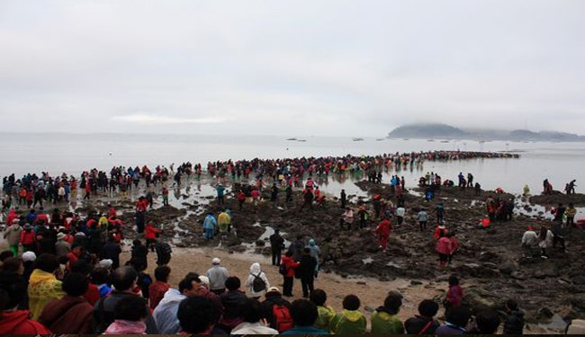 دو نیم شدن دریا در کره جنوبی !+عکس