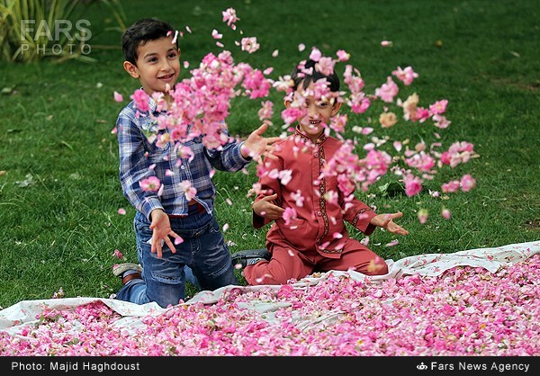 تصاویر/ جشنواره گل و گلاب