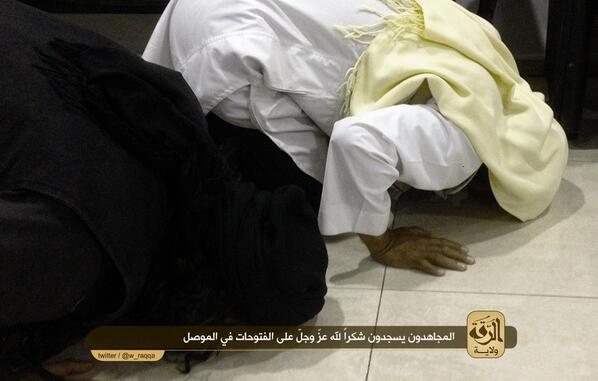 عکس/ سجده شکر پس از سقوط موصل! عکس/ سجده شکر پس از سقوط موصل!