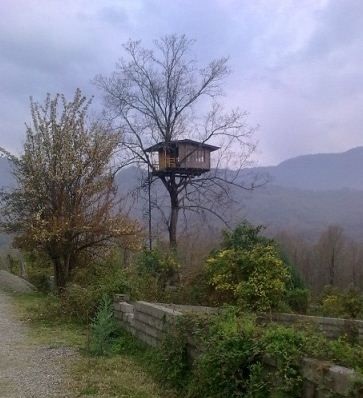 عکس/ خانه خواننده مشهور در شمال