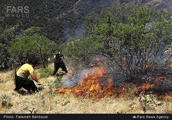 تصاویر/ آتش سوزی در مراتع مریوان