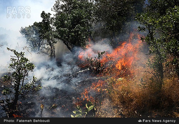 تصاویر/ آتش سوزی در مراتع مریوان