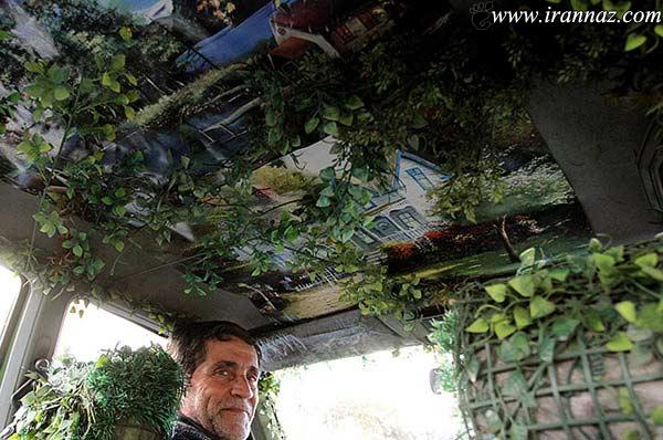 عکس/ تاکسی درختی در تهران