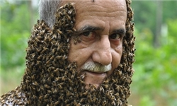 زنبورها این مرد را دوست دارند + تصاویر