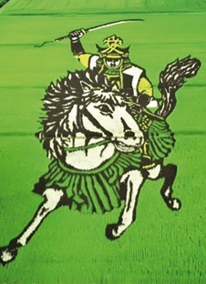 عکس/ نقاشی روی مزرعه برنج