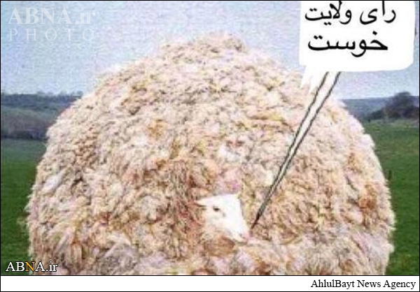 تقلب در انتخابات به شیوه گوسفندی + عکس تقلب در انتخابات به شیوه گوسفندی + عکس