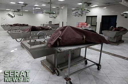 تصاویر/قربانیان حادثه سقوط هواپیما در اتاق تشریح