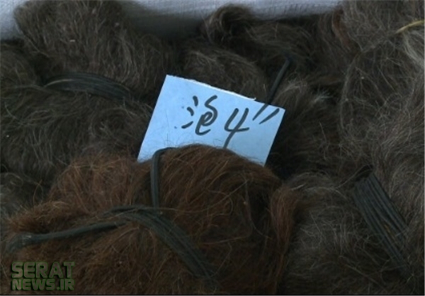 تصاویر / تجارت مو در چین