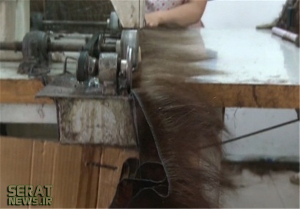 تصاویر / تجارت مو در چین