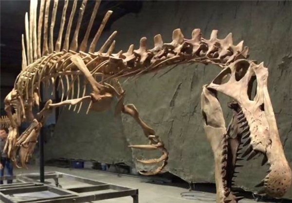 بزرگترین دایناسور کوسهخوار +عکس بزرگترین دایناسور کوسهخوار +عکس