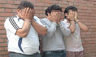حمل محمولههای قاچاق ۱۵ میلیاردی با ۳ تریلر/ 40 تن گردوی خارجی توقیف شد حمل محمولههای قاچاق ۱۵ میلیاردی با ۳ تریلر/ 40 تن گردوی خارجی توقیف شد