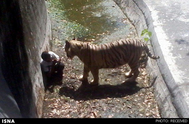 عکس/ لحظاتی قبل از یک مرگ فجیع