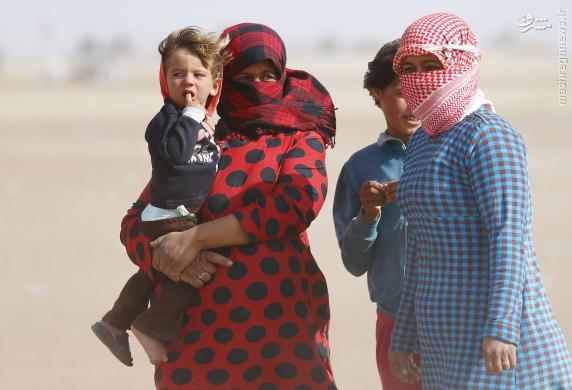 «جهاد مناكحه» خطرناک‌تر از «جهاد نکاح»