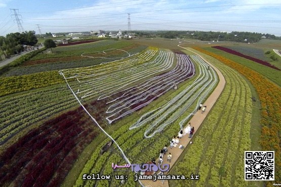 عکس / یک لباس عروس متفاوت