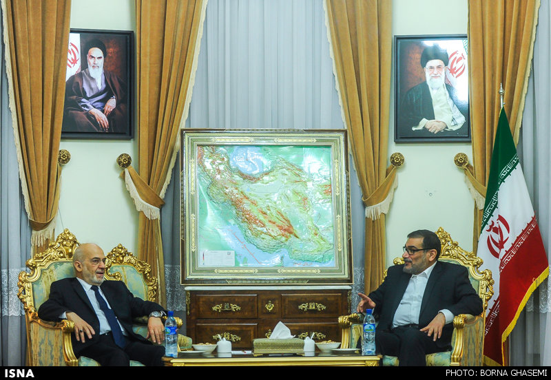 تصاویر/دیدارشمخانی با وزیرخارجه عراق