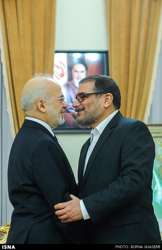 تصاویر/دیدارشمخانی با وزیرخارجه عراق
