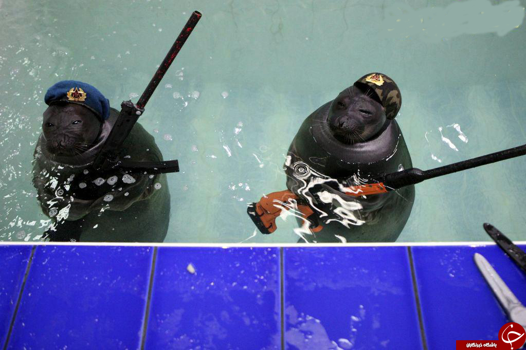 عکس/ آموزش به شيردريايی برای ماموريت عکس/ آموزش به شيردريايی برای ماموريت