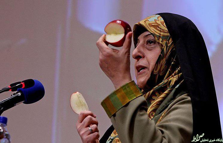 عکس/ ابتکار ویژه ابتکار در همایش خاک