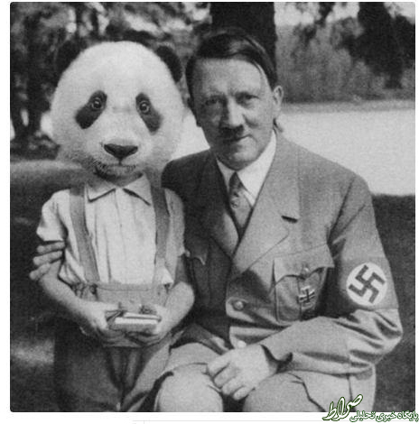 تصویری دیده نشده از هیتلر و پاندا