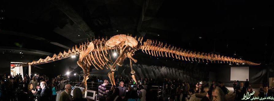 عکس/ بزرگترین دایناسور جهان عکس/ بزرگترین دایناسور جهان