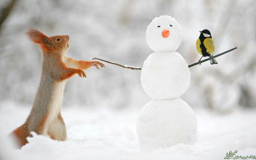 عکس/ لذت بازی در هوای پاک!