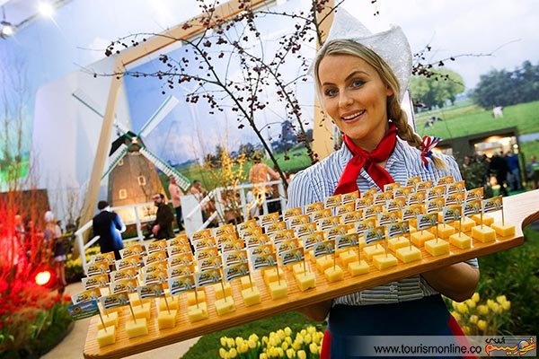 عکس/ مسابقه بهترین