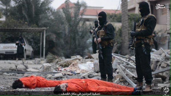 اعدام دو عراقی در فلوجه +تصاویر