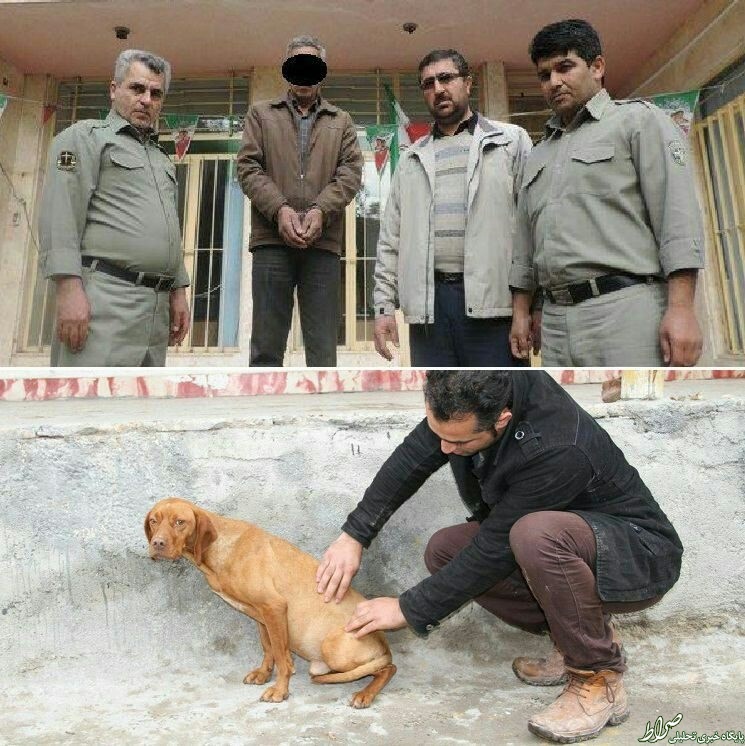 بازداشت مردی که سگی را به قصد کشت زد +عکس بازداشت مردی که سگی را به قصد کشت زد +عکس
