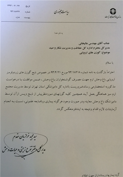 انسانها به کنار!/ ابتکار بین گوزن و سگ هم فرق گذاشت! انسانها به کنار!/ ابتکار بین گوزن و سگ هم فرق گذاشت!