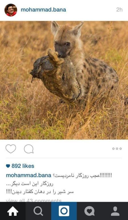 عکس/ محمد بنا به چه کسی طعنه زد؟ عکس/ محمد بنا به چه کسی طعنه زد؟