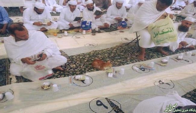 عکس/ گربه‌ای که منتظر افطار است!